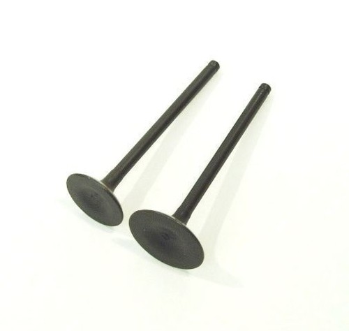 Inlet exhaust valves for - valves,